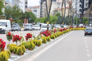 Aksaray Çiçek Açtı