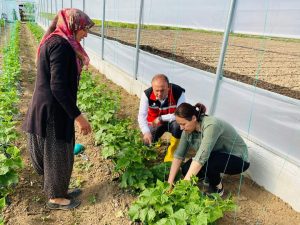 Sera Üretiminde 100 Adet Kurulum Tamamlandı