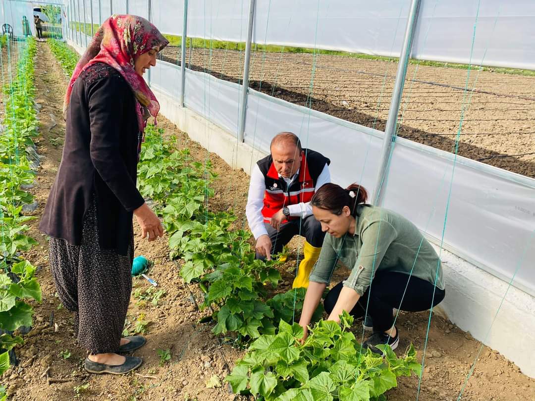   Türkiye’de son yıllarda