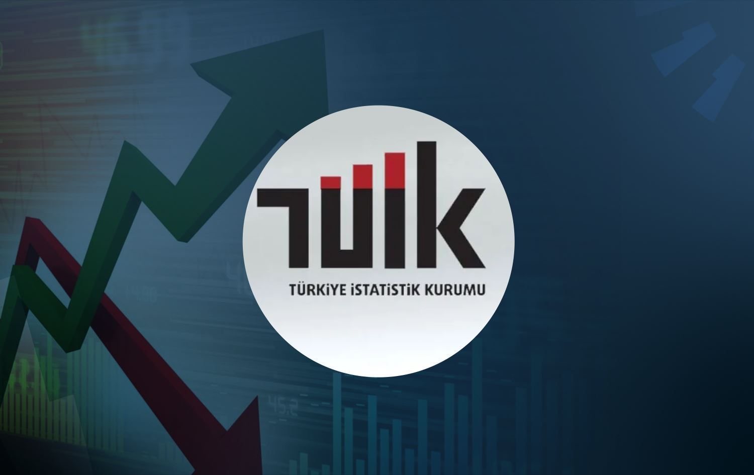 Türkiye İstatistik Kurumu, Yurt