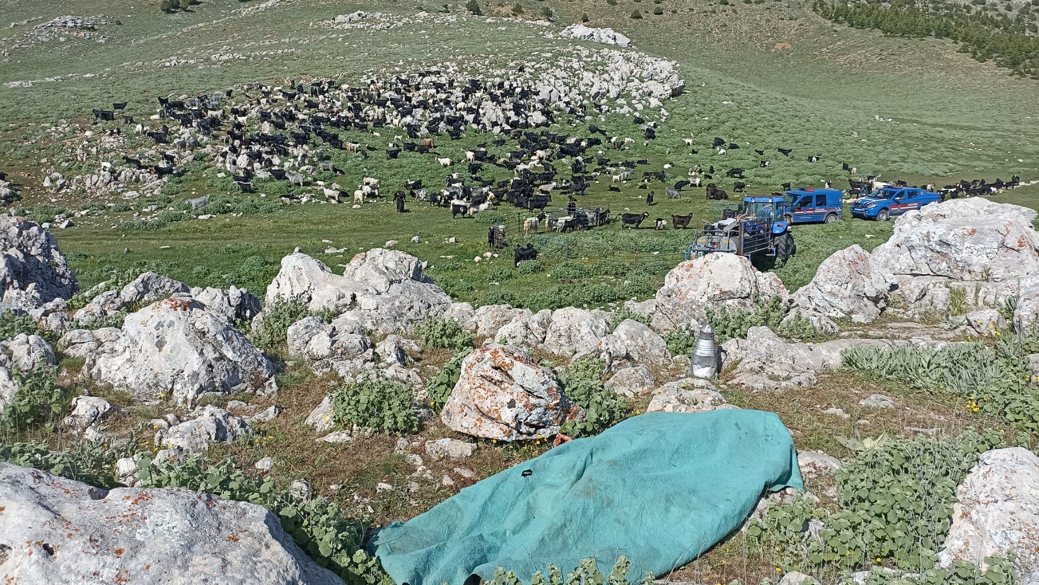   Karaman’da tartıştığı kayınbiraderini