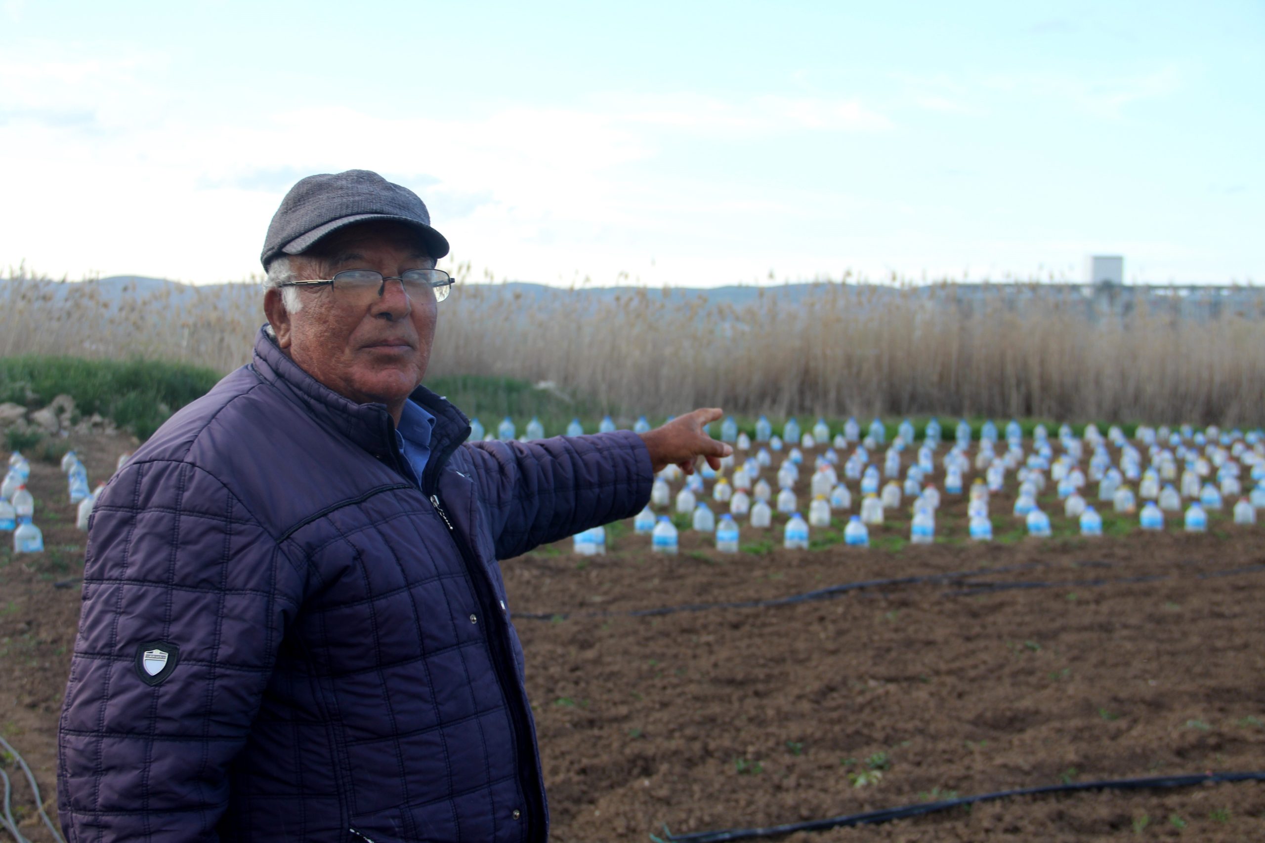 Sivas’ın Şarkışla ilçesinde ektiği