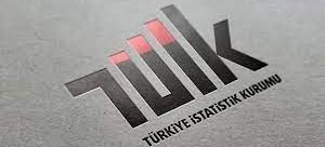 Türkiye İstatistik Kurumu (TÜİK)