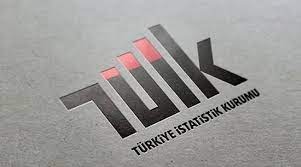 TÜİK Ücretli Çalışan İstatistiklerini Açıkladı