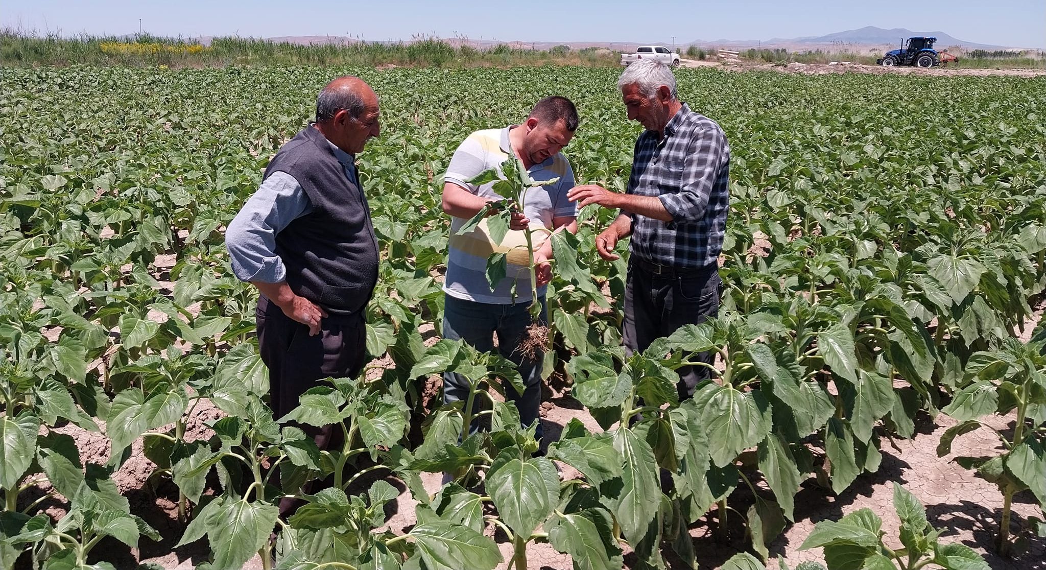 Aksaray Ziraat Odası Başkanı