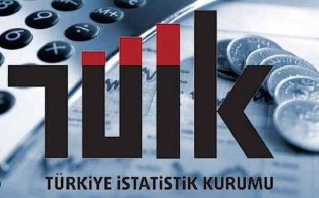 Türkiye İstatistik Kurumu (TÜİK)