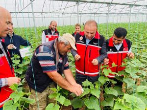 İl Tarım Müdürlüğü, ‘Faydalı Böcekler İş Başında’ Projesini Geliştiriyor