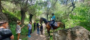 Atlı Jandarma Timleri huzur ve güvenin bekçisi