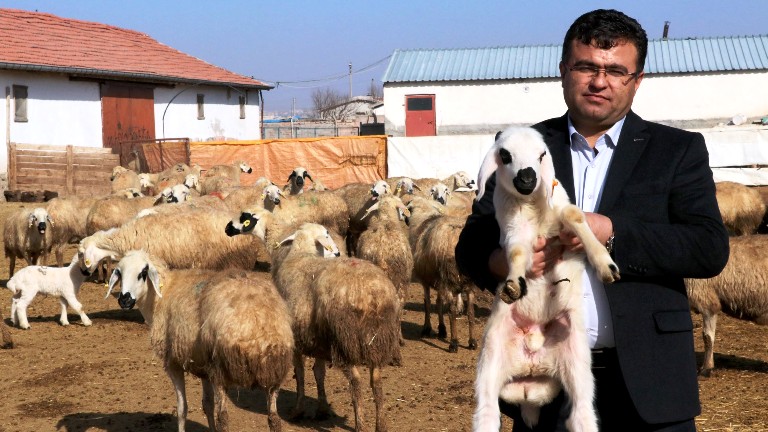 Kurban Bayramına sayılı günler