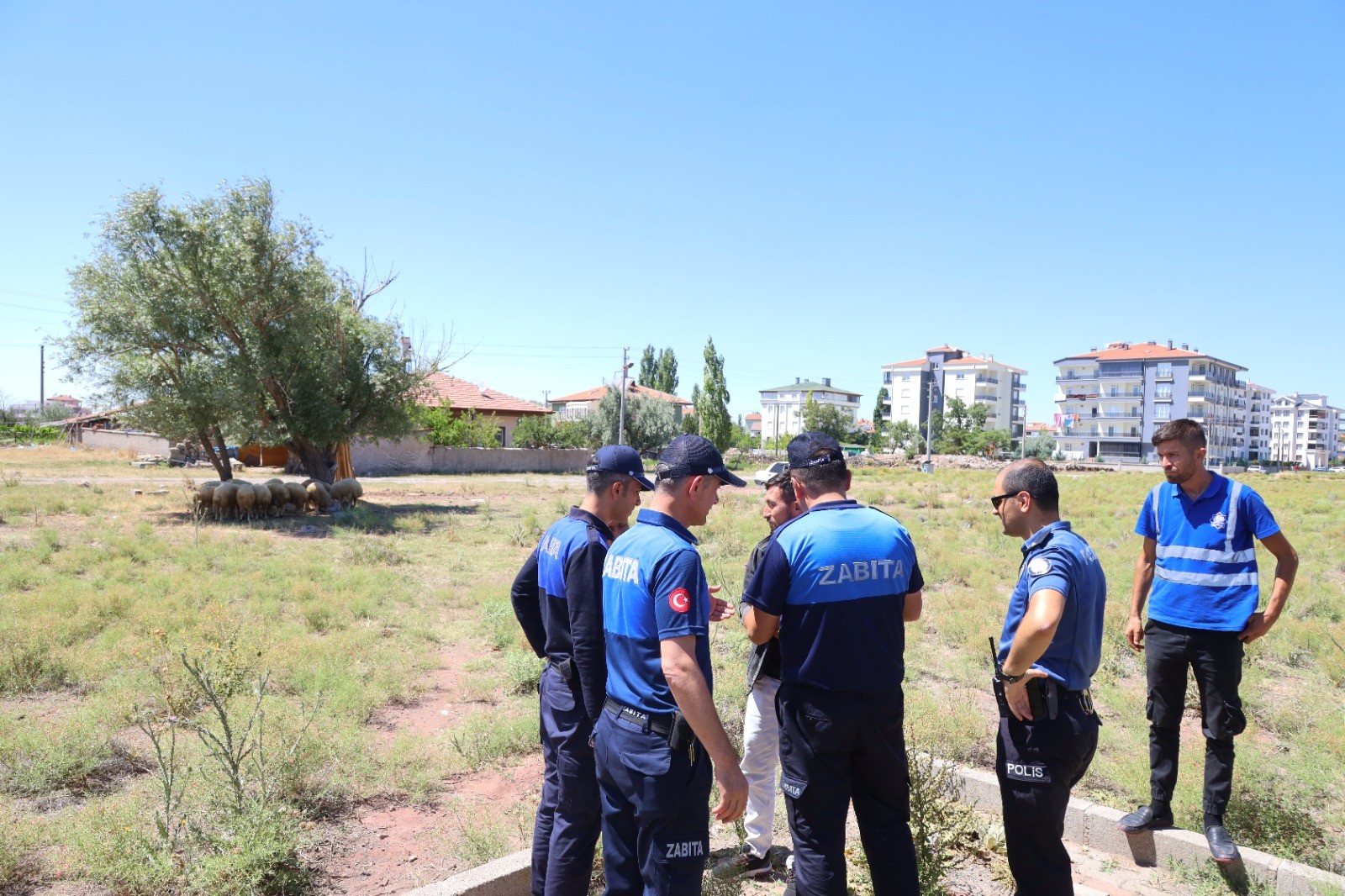 Aksaray Belediyesine bağlı Zabıta