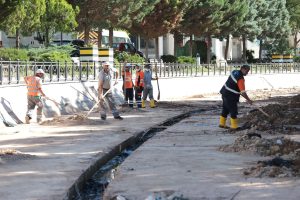 Belediye Başkanı Dinçer, şehrimizi sevelim, temiz tutalım koruyalım.