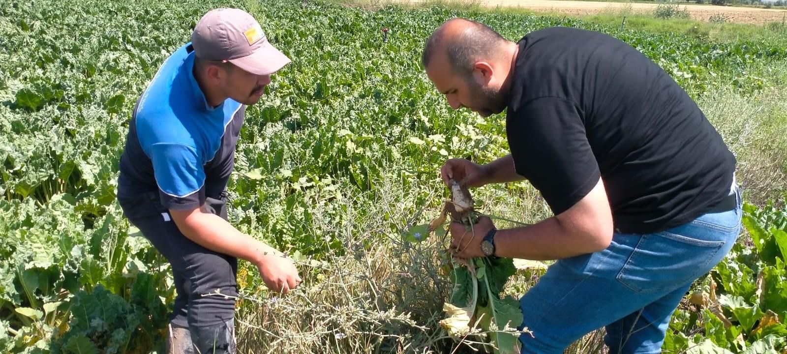 Aksaray Ziraat Odası, tarım