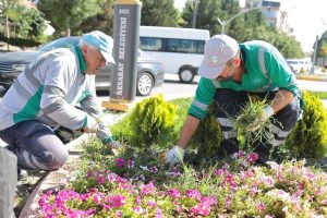 Aksaray Belediyesi, şehre yeşil bir dokunuşla şehrin çehresini değiştiriyor