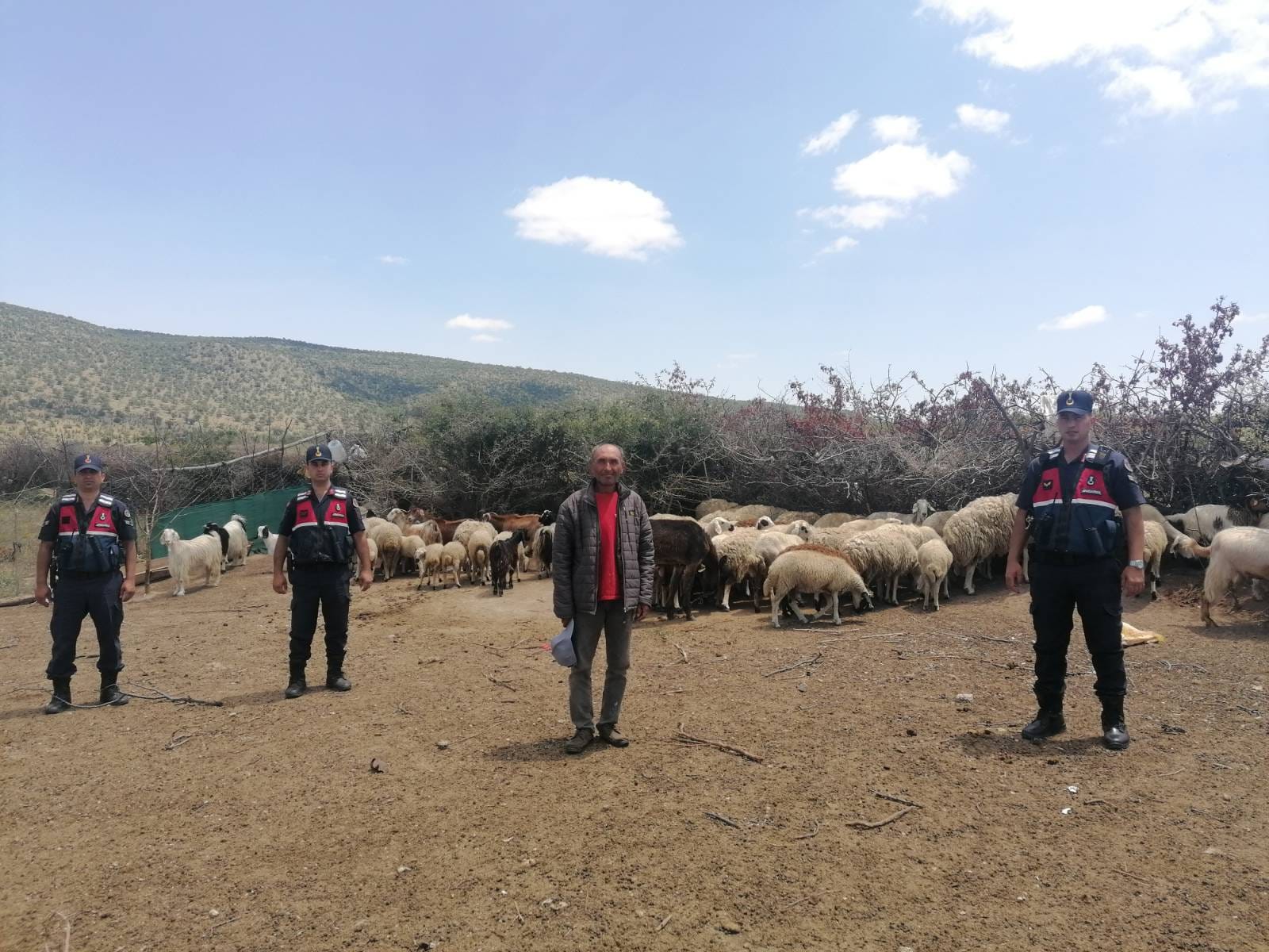 Güzelyurt Jandarma Komutanlığı, kahramanca