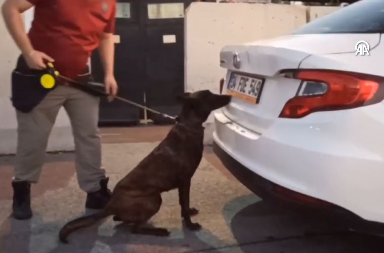 Adana’da narkotik dedektör köpeği