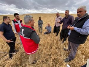 Aksaray Tarım ve Orman İl Müdürlüğü Biçerdöver Kontrollerine aralıksız devam ediyor