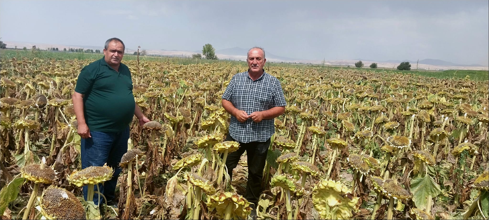 Aksaray Ziraat Odası Başkanı