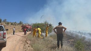 Aksaray’da korkutan orman yangını kontrol altına alındı