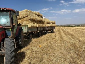 Aksaray’da balya tedariki yapılıyor