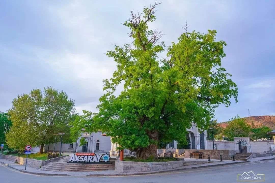 Pazar sabahının erken saatlerinde