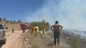 Aksaray’da yılların emekleri yandı