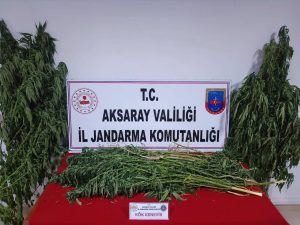 Jandarmadan uyuşturucu tacirlerine darbe