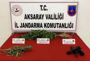 Aksaray’da Jandarmadan kenevir operasyonu