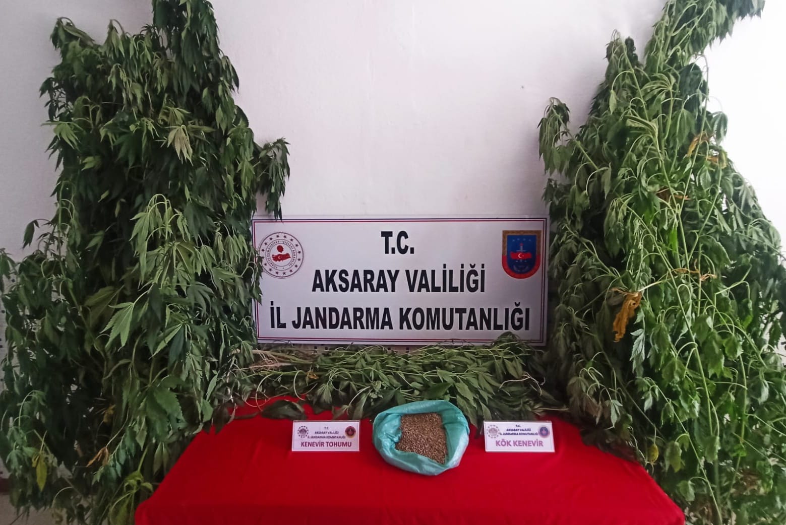 Jandarma ekipleri, yasa dışı