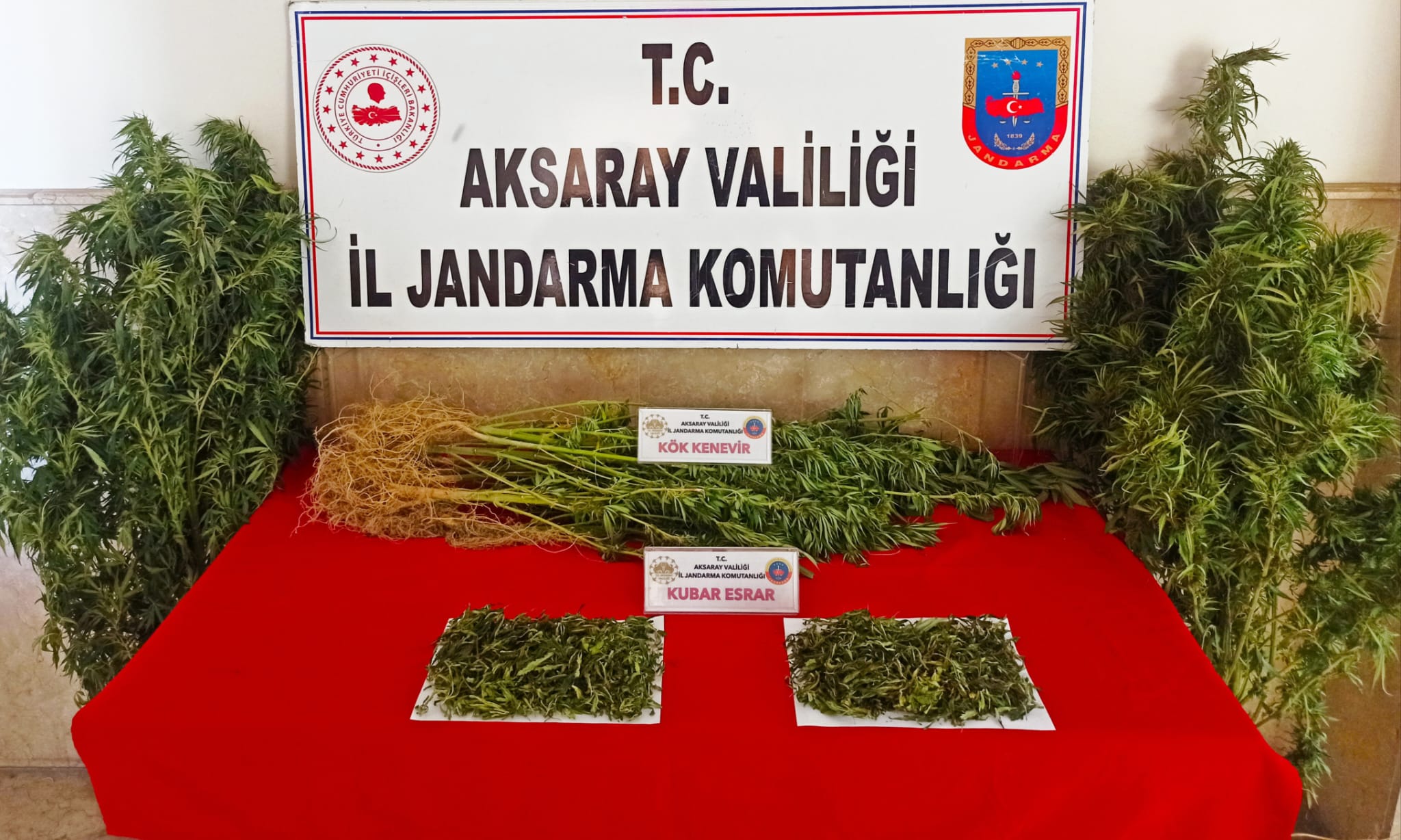 İl Jandarma Komutanlığı ekipleri