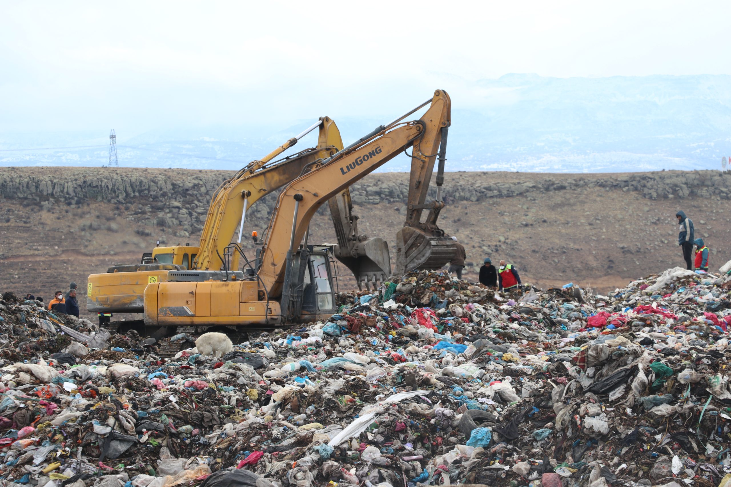 Kayseri’nin merkez Kocasinan ilçesinde