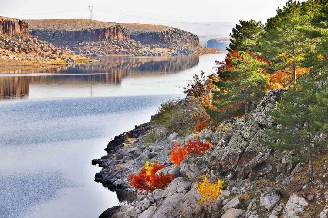 Aksaray Belediye Başkanı Dr.