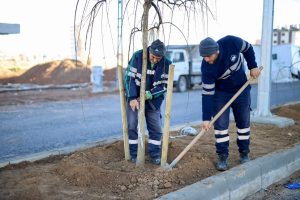 Aksaray Belediyesi, yeşil alanlar için çalışıyor