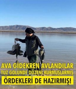 Ava giderken avlandılar! Tuz gölünde kaçak avcılık operasyonu