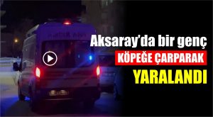 Aksaray’da köpeğe çarpan genç yaralandı!