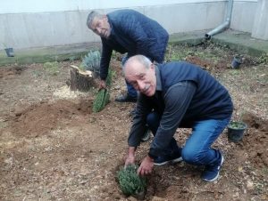 Huzurevinin Yetişkin Gençleri Bahçelerde Kök Salıyor: Yaşamla Buluşturdukları Yeşil Miras!