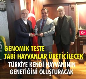 Hayvancılıkta dev adım! Genomik teste tabi hayvanlar üreticilecek