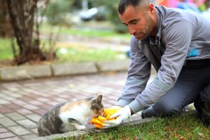 Aksaray Belediyesinden sokak hayvanları için bir kap mama bir kap su!