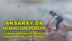 Aksaray’da Kaçak Avcılara Operasyon; Yaban Ördekleri Doğal Yaşamlarına Geri Döndü!