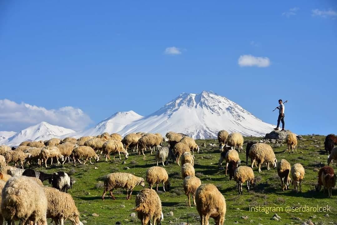 Aksaray Belediye Başkanı Evren