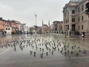 Aksaray, Bölgesinde nüfusu çok farklı Türkiye İstatistik Kurumu (TÜİK) illerin