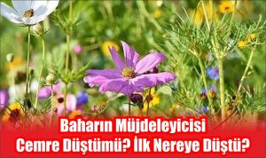 Baharın müjdeleyicisi olarak bilinen ve halk arasında cemre olarak tasvir
