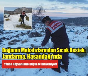 Çevre, Doğa ve Hayvanları Koruma (HAYDİ) Timi ve Doğa Koruma