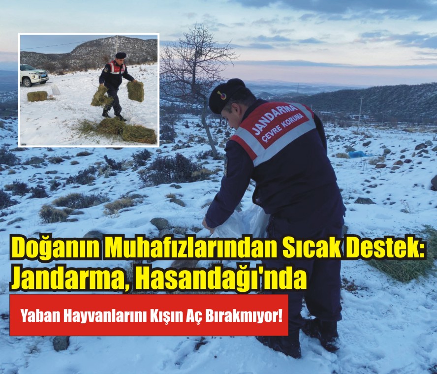 Çevre, Doğa ve Hayvanları Koruma (HAYDİ) Timi ve Doğa Koruma