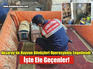 Aksaray’da Hayvan Dövüşleri Operasyonla Engellendi: İşte Ele Geçenler!