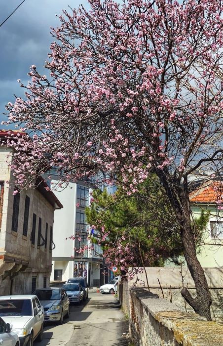 Aksaray’da sıradışı bir manzara!