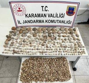 Fosil kaçakçılığı operasyonunda şüpheli yakaland