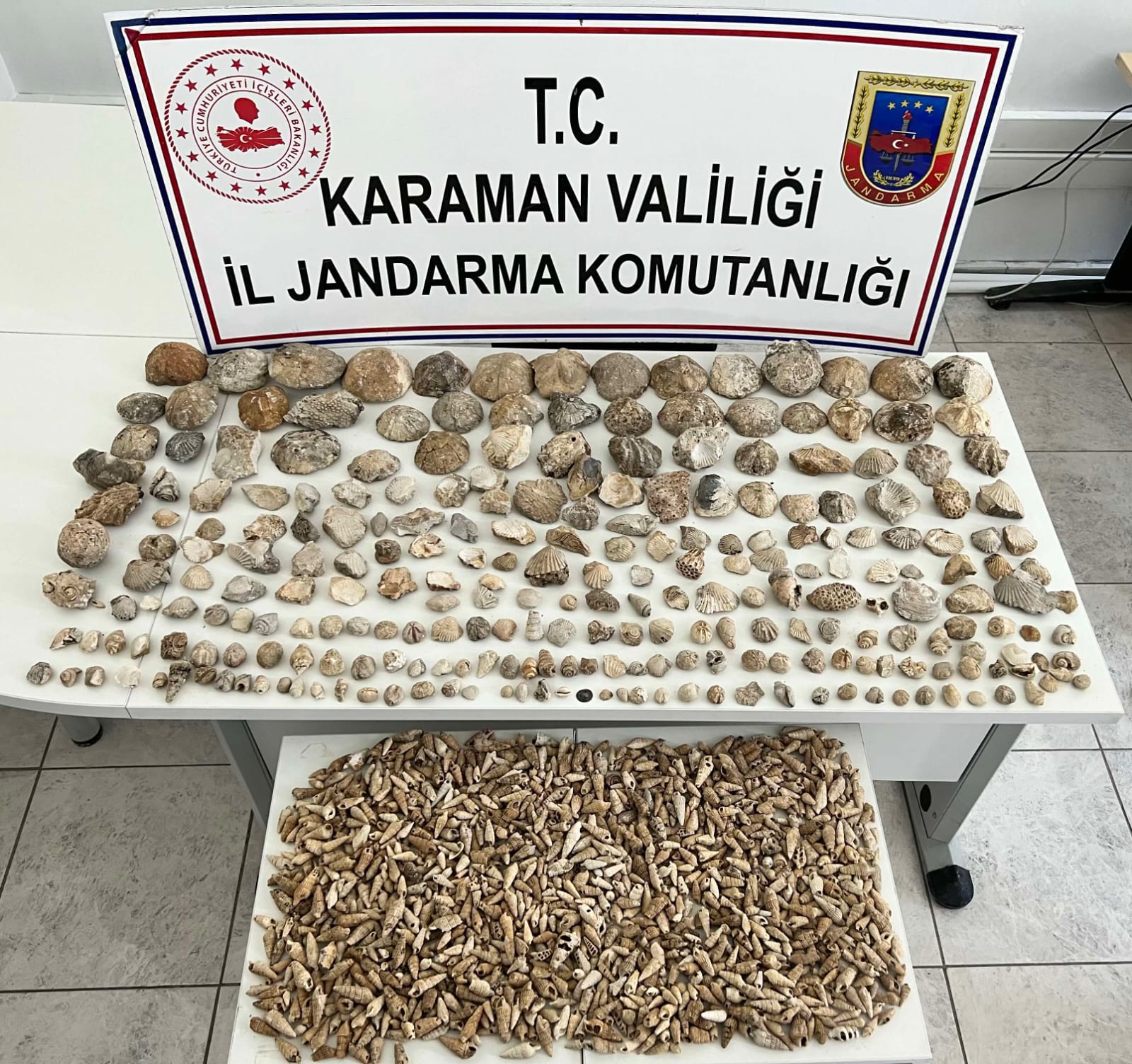 Karaman’da jandarmanın düzenlediği fosil