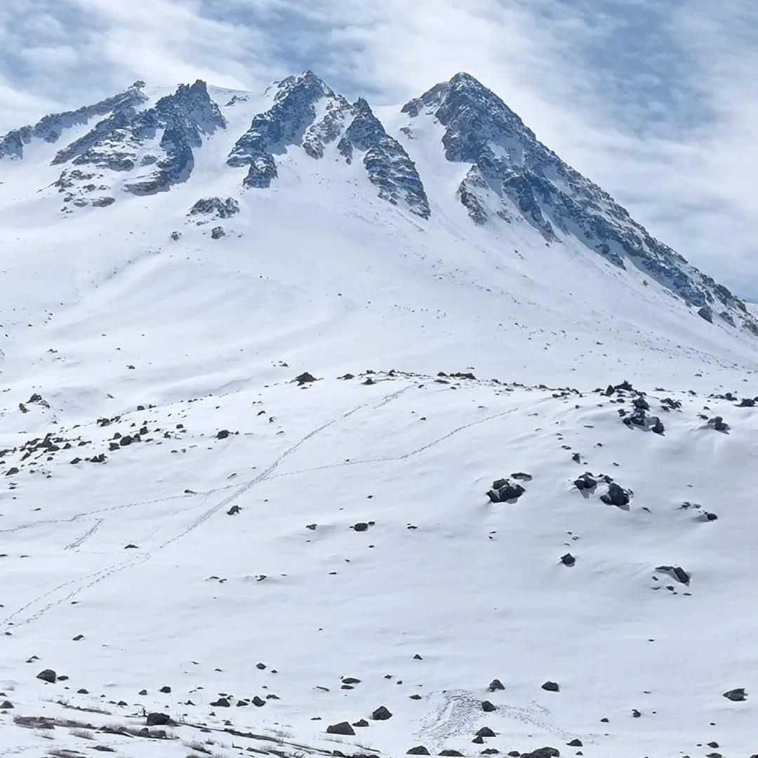 Beyaz Duvağı ve Yeşil