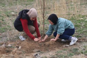 Aksaray’da lise öğrencileri 250 fidanı toprakla buluşturdu