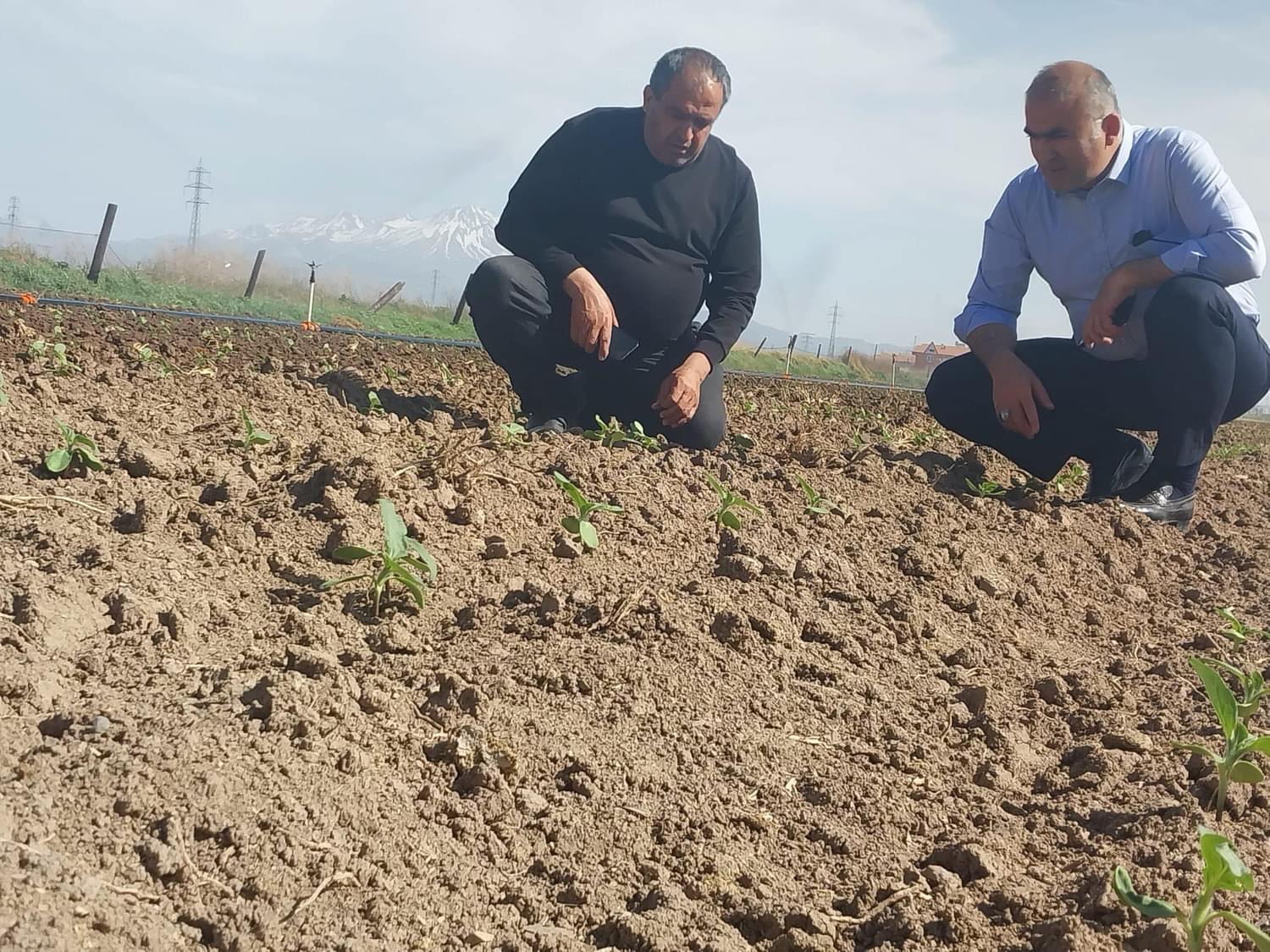 Tarımsal Faaliyetlerde İşbirliği: Çiftçilerin